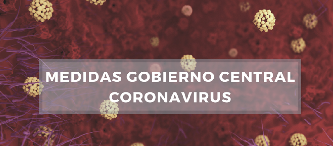medidas gobierno coronavirus
